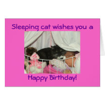 Tarjeta del gato el dormir