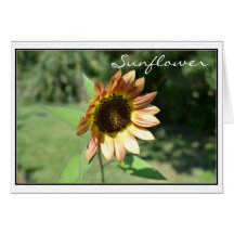 Tarjeta del girasol de septiembre