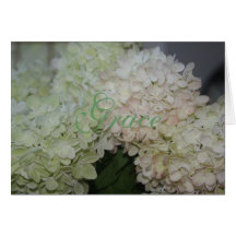 Tarjeta del Hydrangea de la tolerancia