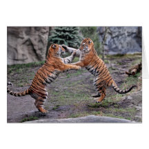 Tarjeta del juego del tigre