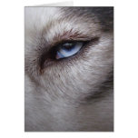 Tarjeta del Malamute de Alaska de la tarjeta del h
