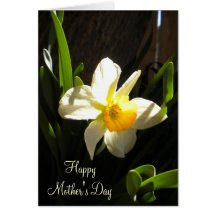Tarjeta del narciso del día de madres