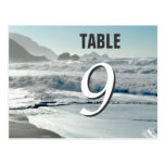 Tarjeta del número de la tabla de las olas oceánic tarjetas postales