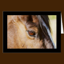 Tarjeta del ojo del caballo tarjetas
