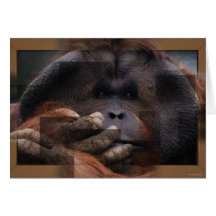 Tarjeta del orangután