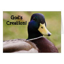 Tarjeta del pato de la creación de dios