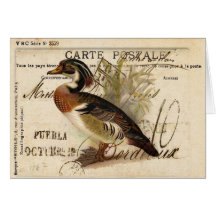 Tarjeta del pato del vintage
