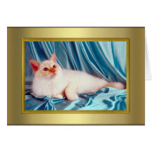 Tarjeta del pedigrí del gato