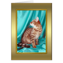 Tarjeta del pedigrí del gato
