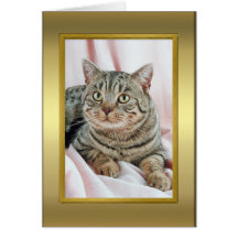 Tarjeta del pedigrí del gato
