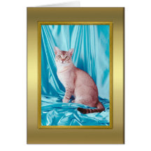 Tarjeta del pedigrí del gato