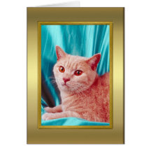 Tarjeta del pedigrí del gato