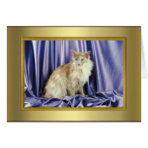 Tarjeta del pedigrí del gato