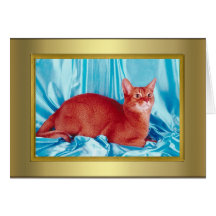 Tarjeta del pedigrí del gato
