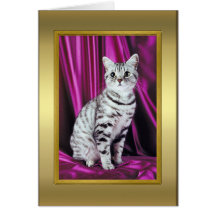 Tarjeta del pedigrí del gato