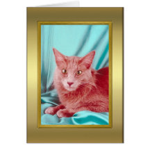 Tarjeta del pedigrí del gato