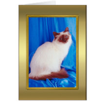Tarjeta del pedigrí del gato