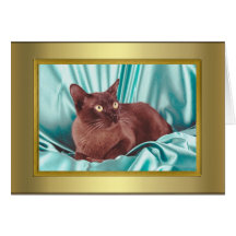 Tarjeta del pedigrí del gato