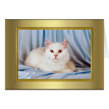 Tarjeta del pedigrí del gato