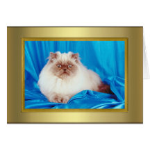 Tarjeta del pedigrí del gato