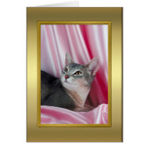 Tarjeta del pedigrí del gato