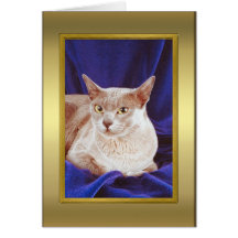 Tarjeta del pedigrí del gato
