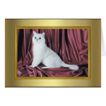 Tarjeta del pedigrí del gato