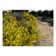Tarjeta del peregrino y de las flores