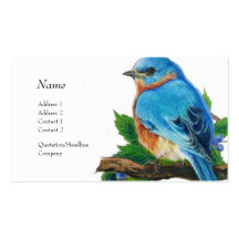 Tarjeta del perfil - Bluebird Plantillas De Tarjeta De Negocio
