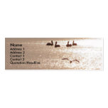 Tarjeta del perfil del amanecer del pelícano plantillas de tarjetas de visita