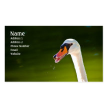 Tarjeta del perfil del cisne mudo plantilla de tarjeta personal