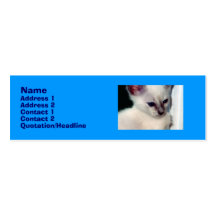 Tarjeta del perfil del gatito de Sasha Tarjeta De Visita