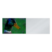 Tarjeta del perfil del pato silvestre tarjeta de visita