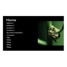 tarjeta del perfil o de visita, abeja plantillas de tarjeta de negocio