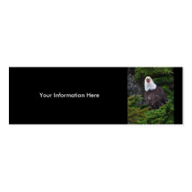 tarjeta del perfil o de visita, águila tarjeta de visita