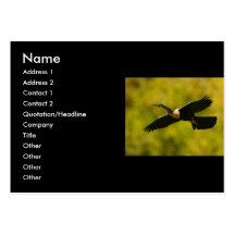 tarjeta del perfil o de visita, anhinga tarjeta de visita