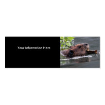 tarjeta del perfil o de visita, castor tarjeta de visita