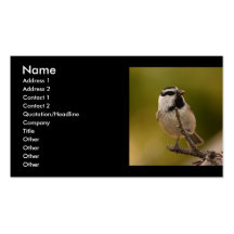 tarjeta del perfil o de visita, chickadee tarjetas de negocios