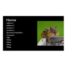 tarjeta del perfil o de visita, chipmunk tarjeta de visita