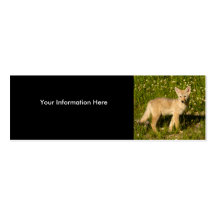 tarjeta del perfil o de visita, coyote tarjetas de negocios