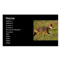 tarjeta del perfil o de visita, coyote tarjetas de visita