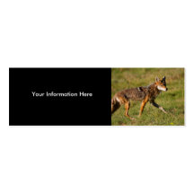 tarjeta del perfil o de visita, coyote tarjeta de visita