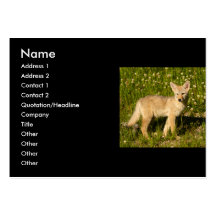 tarjeta del perfil o de visita, coyote tarjetas personales
