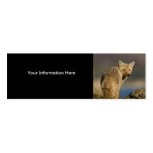 tarjeta del perfil o de visita, coyote plantilla de tarjeta de visita