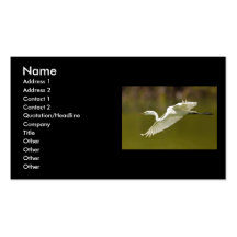 tarjeta del perfil o de visita, egret plantillas de tarjetas de visita