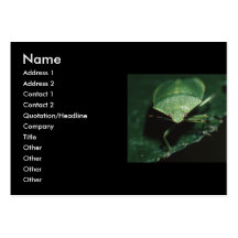 tarjeta del perfil o de visita, insecto tarjetas de visita