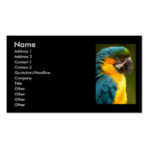 tarjeta del perfil o de visita, macaw tarjeta de visita