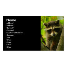 tarjeta del perfil o de visita, mapache plantillas de tarjeta de negocio
