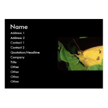 tarjeta del perfil o de visita, mariposa tarjeta personal