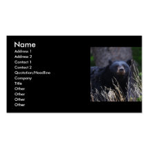 tarjeta del perfil o de visita, oso negro tarjetas de negocios